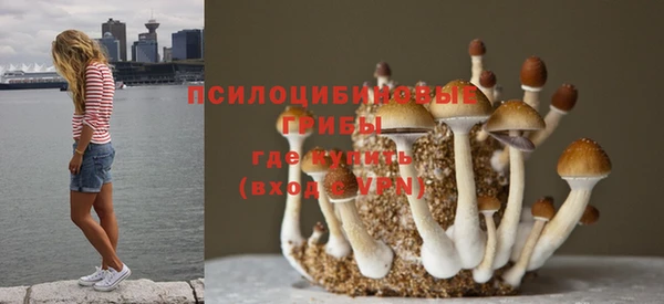 Альфа ПВП Козловка