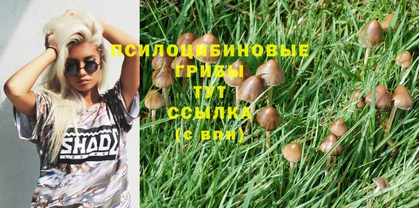 мяу мяу мука Козельск
