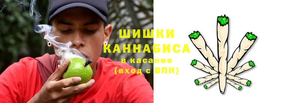 мяу мяу мука Козельск