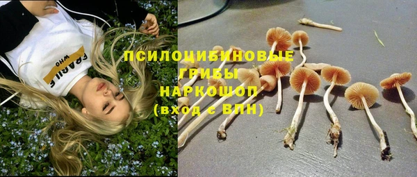 Альфа ПВП Козловка