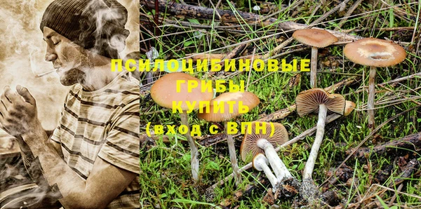Альфа ПВП Козловка