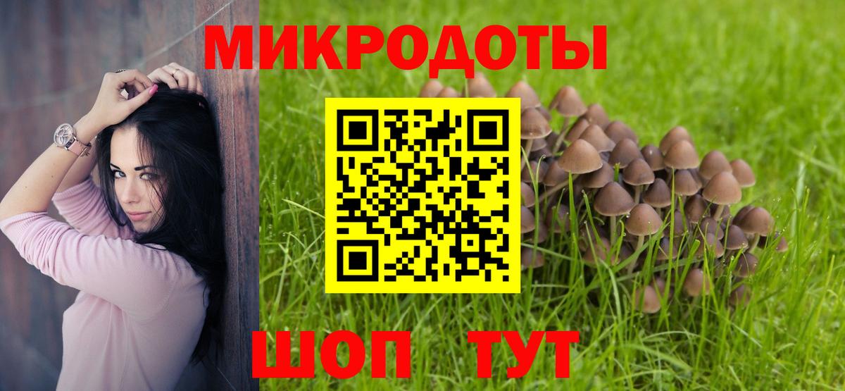 Галлюциногенные грибы Psilocybine cubensis  закладки  Назрань  Вход с VPN  Галлюциногенные грибы Psilocybine cubensis 