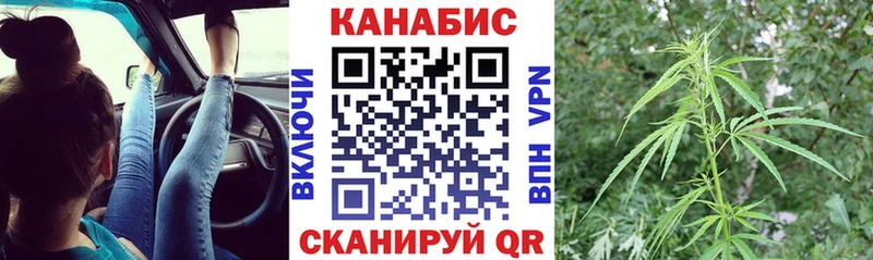 Бошки Шишки VHQ  Назрань 