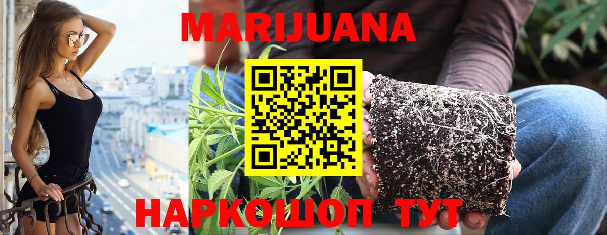 Назрань  Шишки марихуана марихуана  Вход с VPN  Шишки марихуана OG Kush 